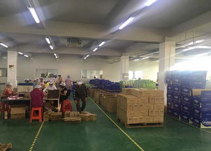 聚壹生物 商丘专业的洗衣片代加工与信息咨询服务提供商