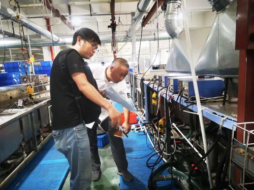 规范厂中厂，服务小微园 乐清翁垟街道多措并举绷紧企业生产安全弦